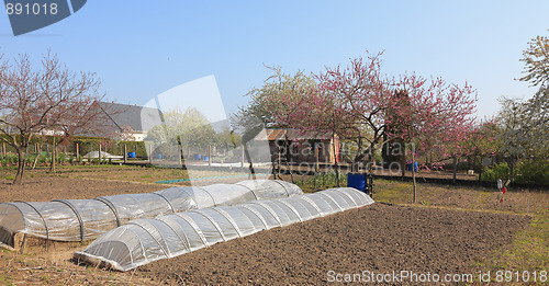 Image of Spring garden
