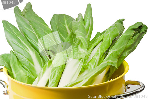 Image of Chard leaves