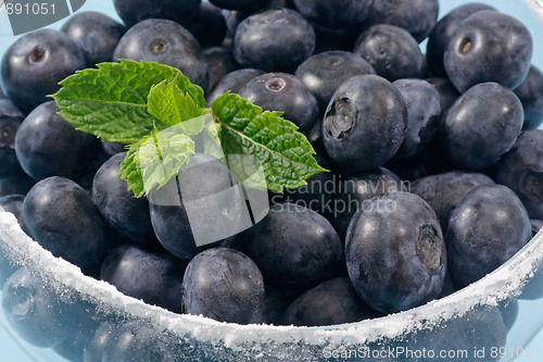 Image of Blueberries