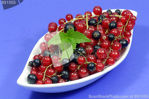 Image of Currants