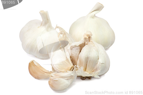 Image of Garlic