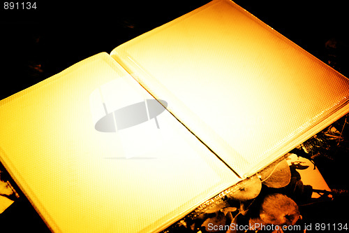 Image of Photo Album with copy space