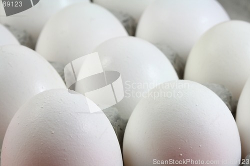 Image of Egg