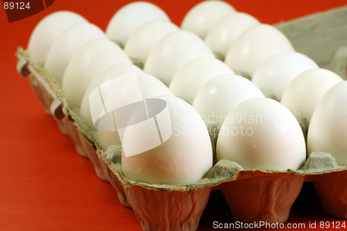 Image of Egg