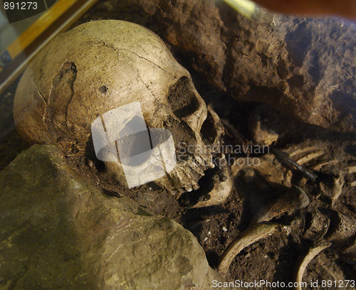 Image of Old human skeleton
