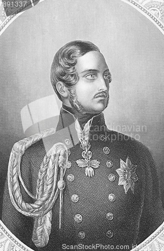 Image of Prince Albert