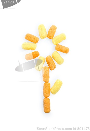 Image of Flower of corn sticks