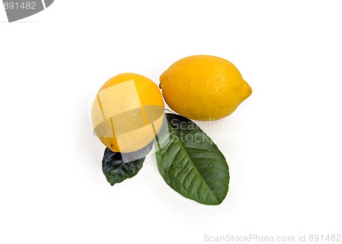 Image of Lemons