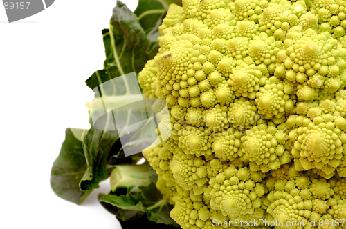 Image of Vractal romanesco cabbage