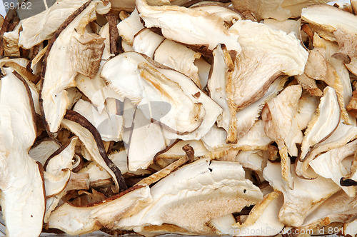 Image of Dried shiitake mushrooms