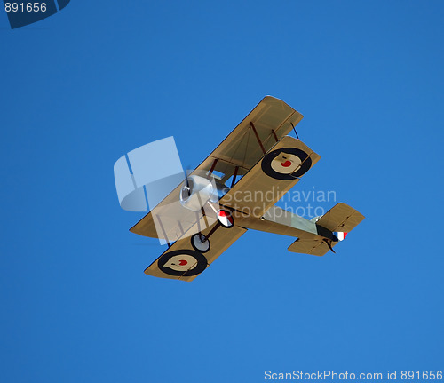 Image of Replica Tiger Moth