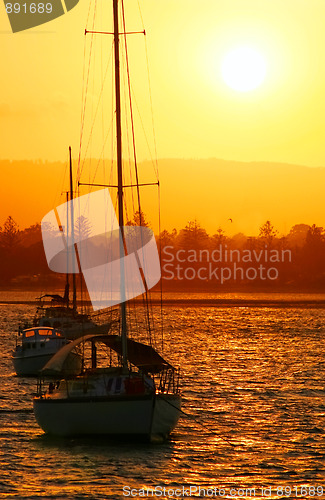 Image of Yachts In The Sun