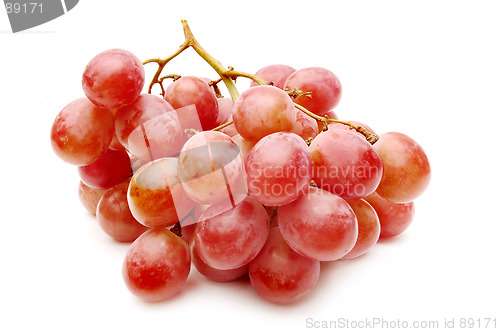 Image of Grapes