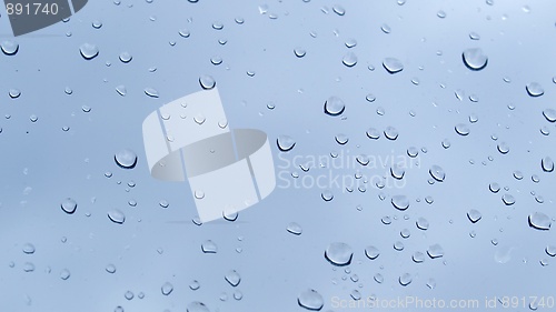 Image of Rain droplets