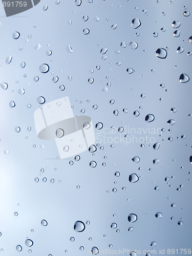 Image of Rain droplets