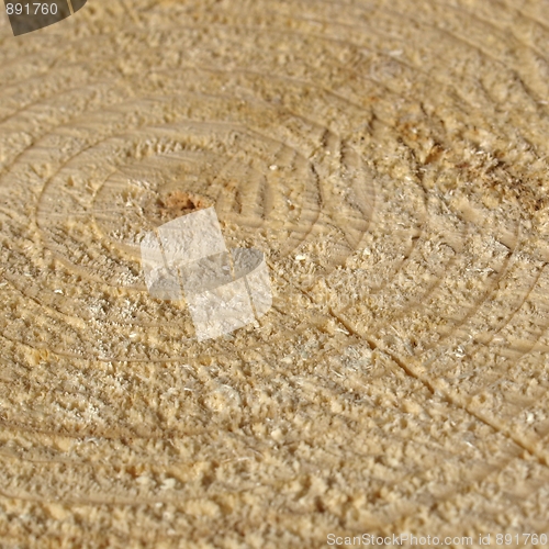 Image of Wood rings