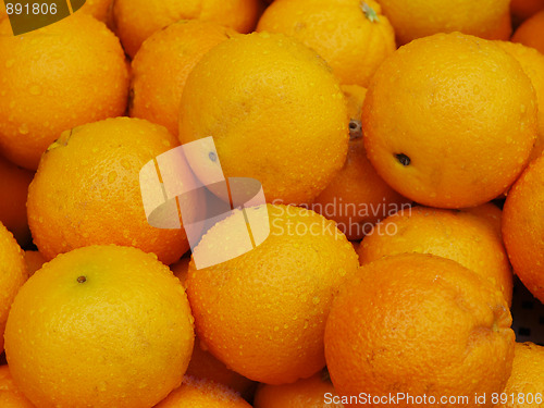 Image of Oranges