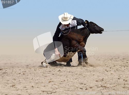 Image of Cowboy about to tie a Calf with a piggin' string