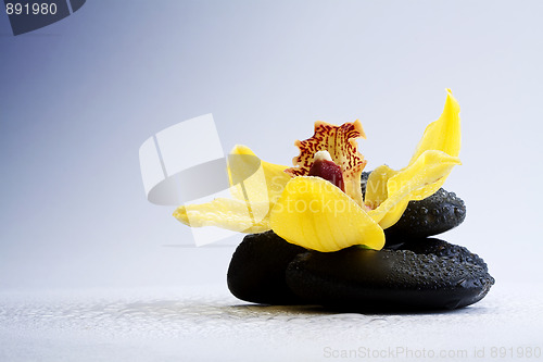 Image of  spa concept