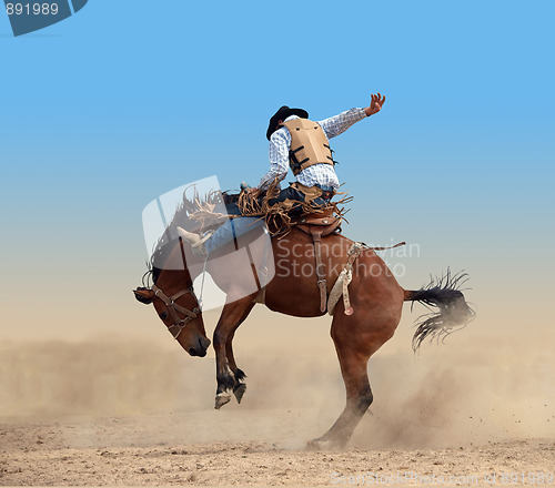 Image of Bucking Rodeo Horse 