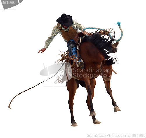 Image of Bucking Rodeo Horse 