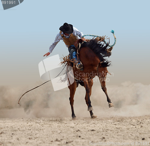 Image of Bucking Rodeo Horse 