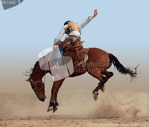 Image of Bucking Rodeo Horse 