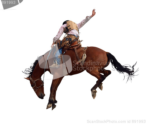 Image of Bucking Rodeo Horse 