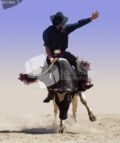 Image of Bull Rider