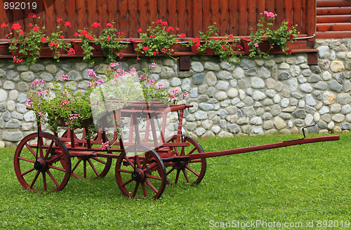 Image of Nice garden