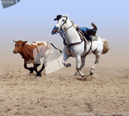 Image of Cowboy Coming off his Horse after a Steer