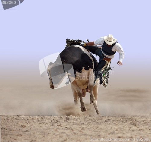 Image of Cowboy Falling off a Bull