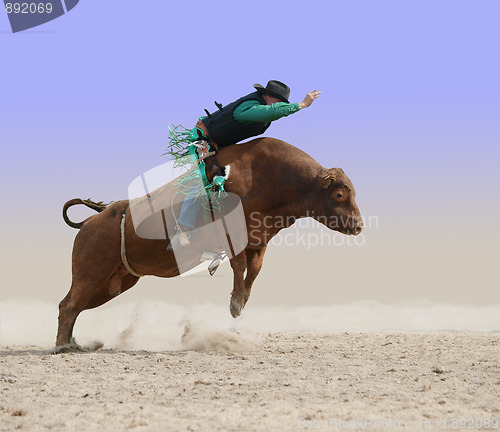 Image of Cowboy on a Red Bull