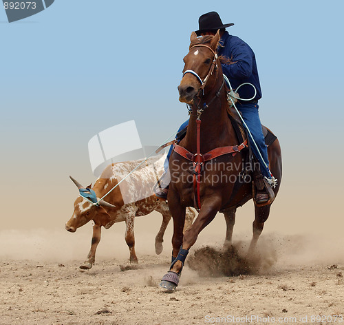 Image of Cowboy Successfully Roping a Steer 