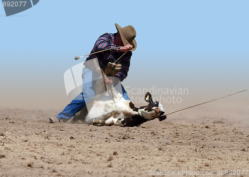 Image of Cowboy Successfully Tying a Calf with a Piggin' String