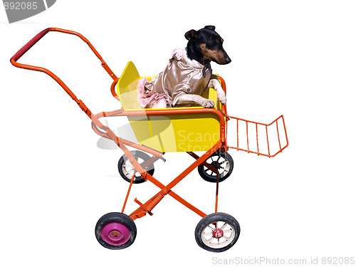 Image of Dog in Pushchair