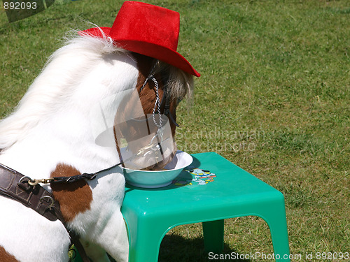 Image of Table Manners