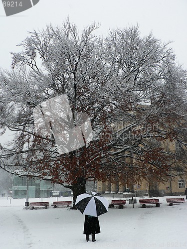 Image of Snowing again