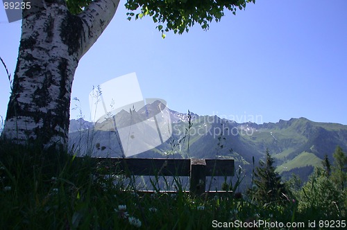 Image of Bench with a view