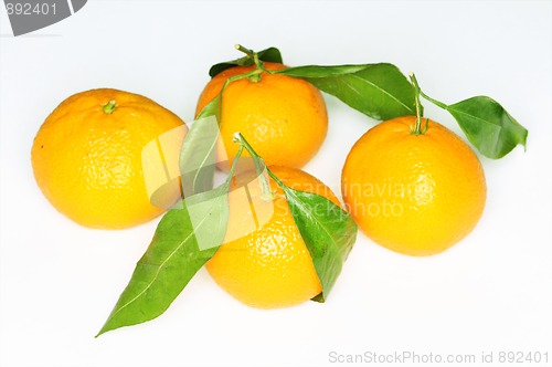 Image of Satsumas