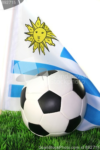 Image of World Cup 2010