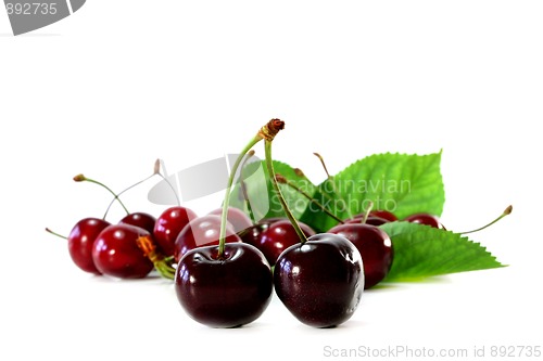Image of Cherries
