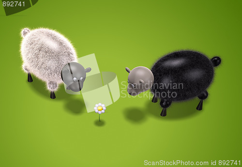 Image of sheep