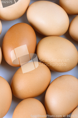 Image of eggs background