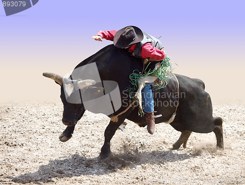 Image of Cowboy Riding a Bull