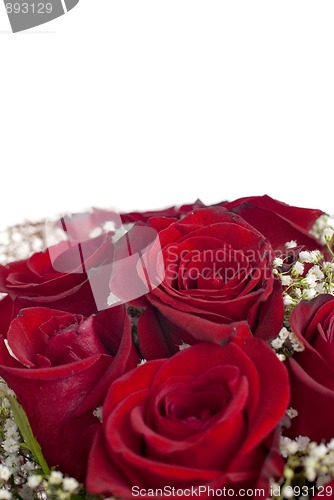 Image of Red roses