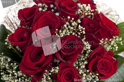 Image of Red roses