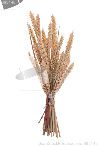 Image of Wheat branch