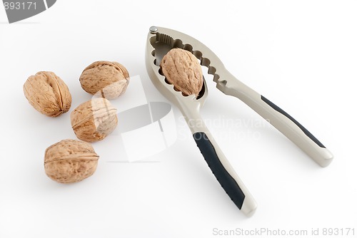 Image of Walnuts