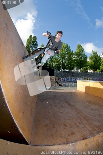 Image of BMX Bike Stunt Wall Ride